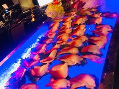 -YUE·6·西式融合餐厅(外滩六号店)