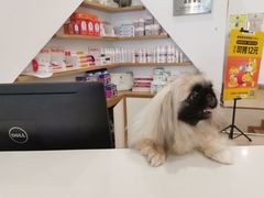 -萌兽医馆·眼科·异宠专科(三里屯店)