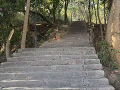 -青芝山风景名胜区
