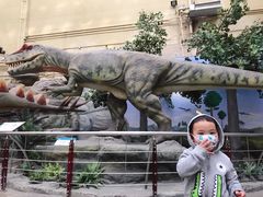 -国家自然博物馆