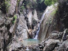-广州市流溪河国家森林公园