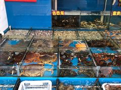 水产区-江杨农产品批发市场