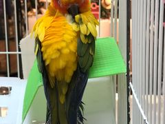 -万达广场(金堂店)
