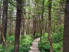 -白草畔自然风景区