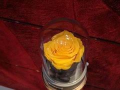 -ROSEONLY诺誓(沈阳万象城店)