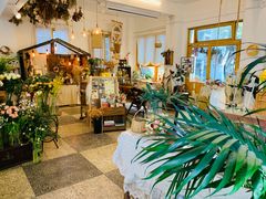 -知物癖(牛王庙店)