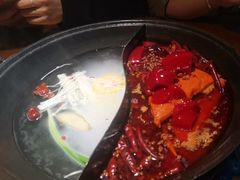 -阳阳老火锅(小南门店)