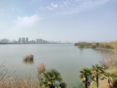 -艾溪湖湿地公园