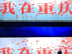 -重庆欢乐海底世界