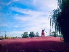 -羊亭河湿地公园