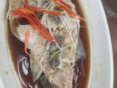 -大柴·宴宾楼(芥园西道店)