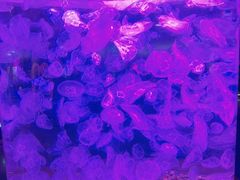 -多彩贵州城极地海洋世界