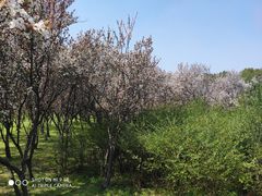 -蜀冈西峰生态公园