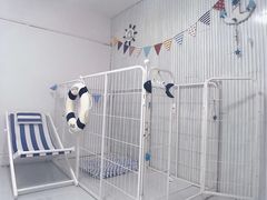 -BABYDOG宝贝狗宠物乐园(欧洲城店)
