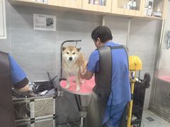 -宠福鑫康馨动物医院·骨科·眼科