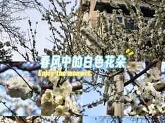 -龙湖星悦荟(颐和店)