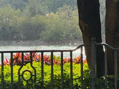 -时光花园(白鹭洲店)