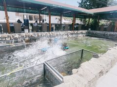 -京北渔家傲