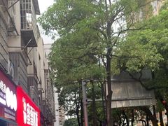 -建国蚵煎蚵面