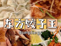 -东方饺子王(新阳路店)
