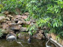 -火炉山森林公园