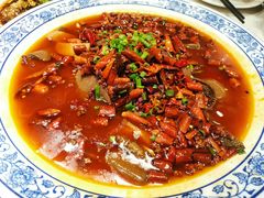 -院8里·少城记忆老川菜(宽窄巷子店)