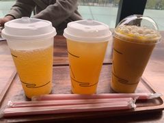 -去茶山