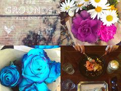 -The Grounds of Alexandria