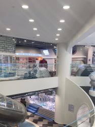 -MINI MARS KIDS CLUB亲子家庭中心(杨浦黄兴店)