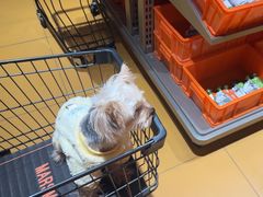 -MARSMART PETS火星宠物超市(1733店)