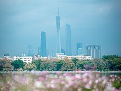 -海珠湖公园