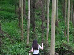 -英西峰林九重天景区