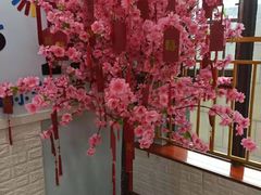 -韦伯科创·少儿编程·机器人(城西优品道店)