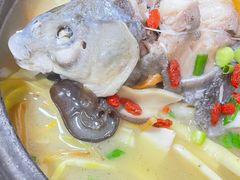 -老字号怡玺·藿香雅鱼(20年雅安店)