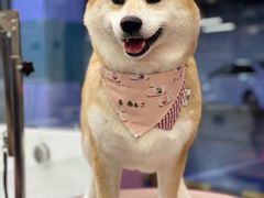 -FAELING PETS美天灵宠物(富力广场店)
