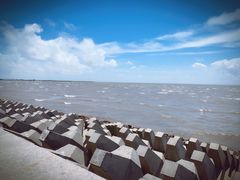 -奉贤海滩