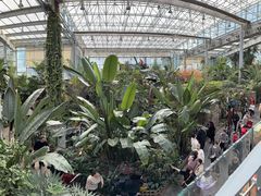 -沈阳植物园