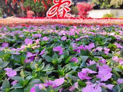 -荔湾湖公园