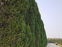 -汉景帝阳陵博物院
