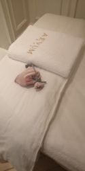 -奥斯芬·欧系贵族SPA