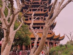 -黄鹤楼