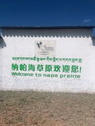 -纳帕海依拉草原
