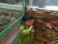 -猫咪博物馆(顶澳仔猫街店)