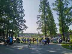 -黄海国家森林公园