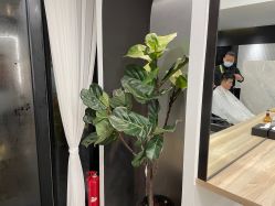-Garden花園造型