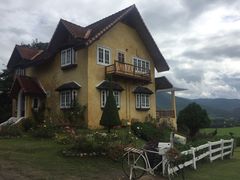 -黄色小屋