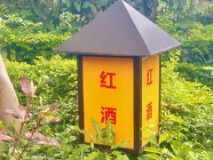 -喜运来大酒店温泉