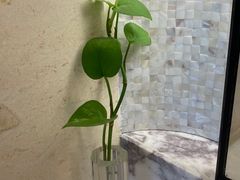 -北京园博大酒店