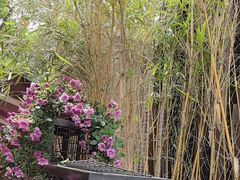 -老地方猫儿面(磁器口店)