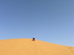 -达拉特旗响沙湾旅游区